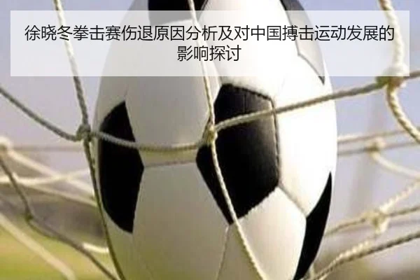 徐晓冬拳击赛伤退原因分析及对中国搏击运动发展的影响探讨
