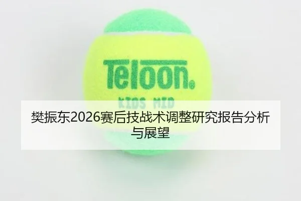 樊振东2026赛后技战术调整研究报告分析与展望