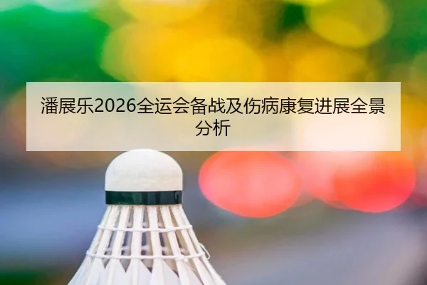 潘展乐2026全运会备战及伤病康复进展全景分析