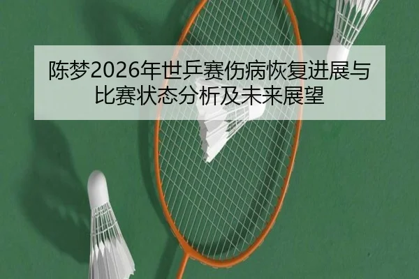 chen-meng-nian-shi-ping-sai-shang-bing-hui-fu-jin-zhan-yu-bi-sai-zhuang-tai-fen-xi-ji-wei-lai-zhan-wang-2-473.jpg