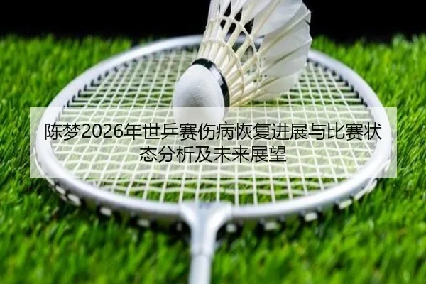 陈梦2026年世乒赛伤病恢复进展与比赛状态分析及未来展望