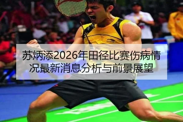 苏炳添2026年田径比赛伤病情况最新消息分析与前景展望